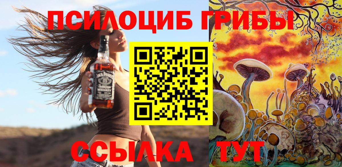 Краснодар  Галлюциногенные грибы прущие грибы  Вход с VPN  Псилоцибиновые грибы ЛСД 